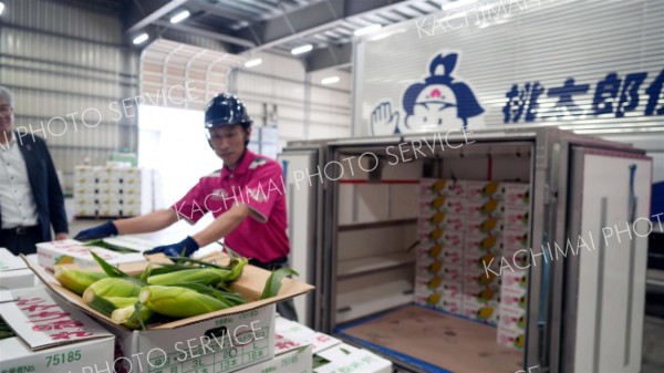 十勝産最速便　さらに速く　帯広空港初利用へ　朝取りコーン首都圏に