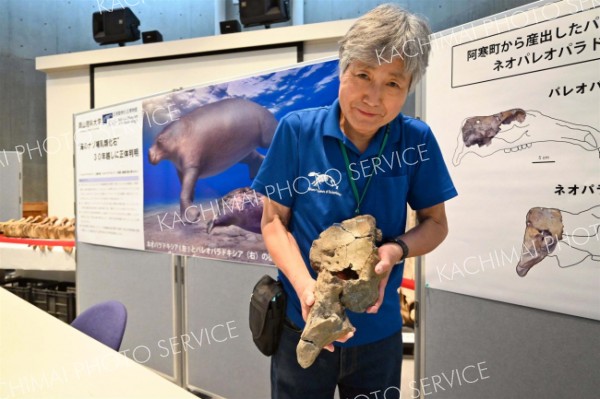 海のナゾ哺乳類の正体確認！　足寄動物化石博物館と岡山理科大の研究チーム