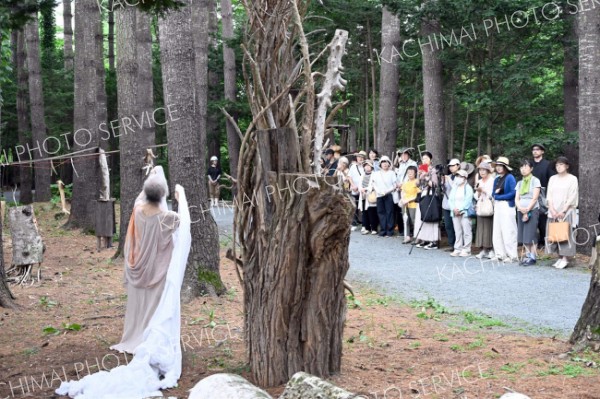 木々の間を舞う