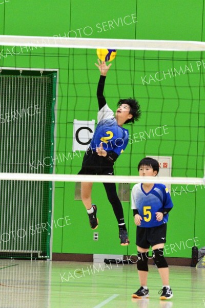 下音更２年ぶりＶ　男子はＪＪＢ　バレー道スポーツ少年団大会十勝予選 9