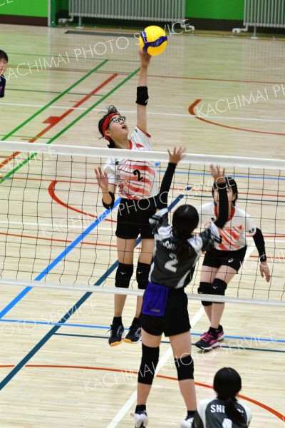 下音更２年ぶりＶ　男子はＪＪＢ　バレー道スポーツ少年団大会十勝予選 13