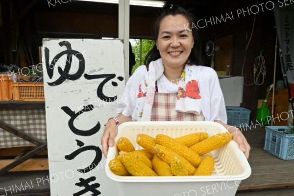 トウモロコシ販売始まる　浦幌のベジタブルショップ２１