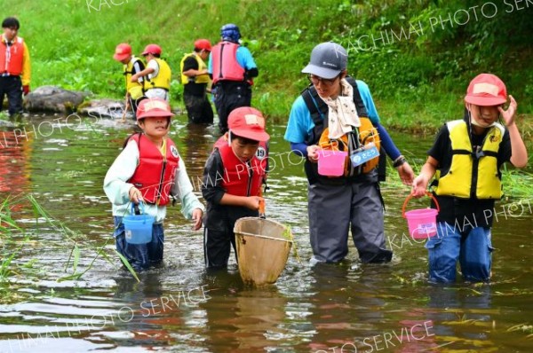 身近な水辺で魚捕りや自然観察　十勝多自然ネットと帯広東小