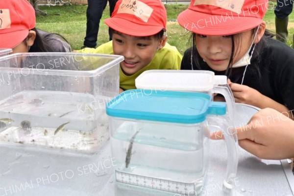 帯広東小学校自然観察会（金野和彦撮影）