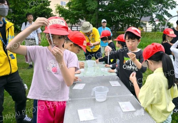 帯広東小学校自然観察会（金野和彦撮影）