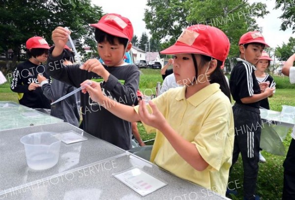 帯広東小学校自然観察会（金野和彦撮影）