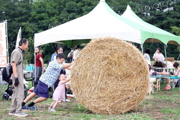 小麦の恵みあふれる会場で麦稈ロール転がしに挑戦する来場者（９日午前１０時２０分ごろ、道の駅おとふけ北側広場、平栗玲香通信員撮影）