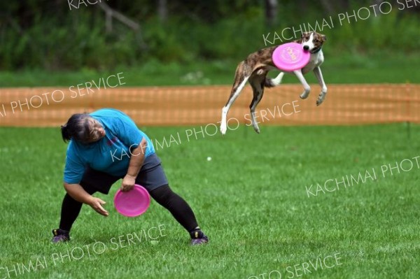 愛犬との息の合ったプレーを披露　中札内でディスクドッグの全国大会