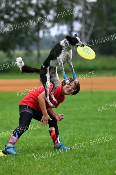 空中でディスクをキャッチする競技犬（須貝拓也撮影）