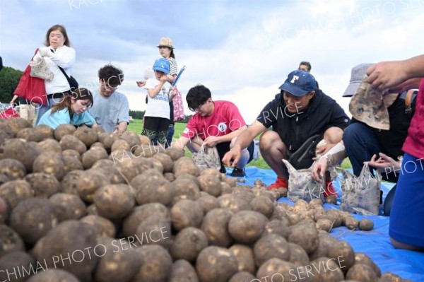 プレミアム商品付き餅まき大会で４等として２７０本分用意された「ジャガイモ一袋」の得点。ほくほくとイモを袋に詰める参加者ら