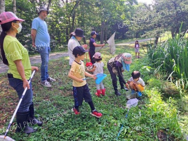 拓鉄公園で自然観察イベント　新得おもしろ調査隊