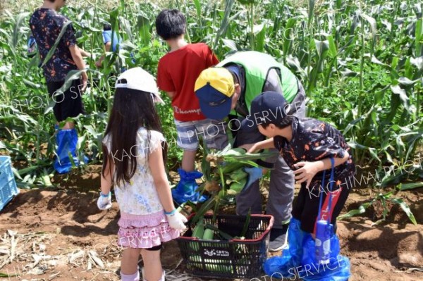 会員と収穫に取り組む子どもたち