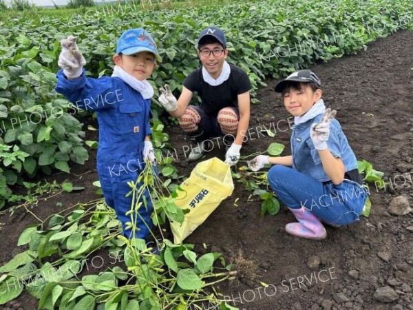 もぎたて枝豆に笑顔広がる　豊頃でイベント