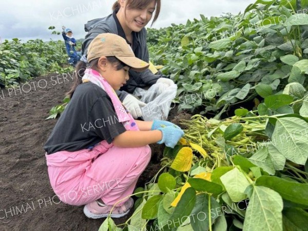 収穫を楽しむ参加者