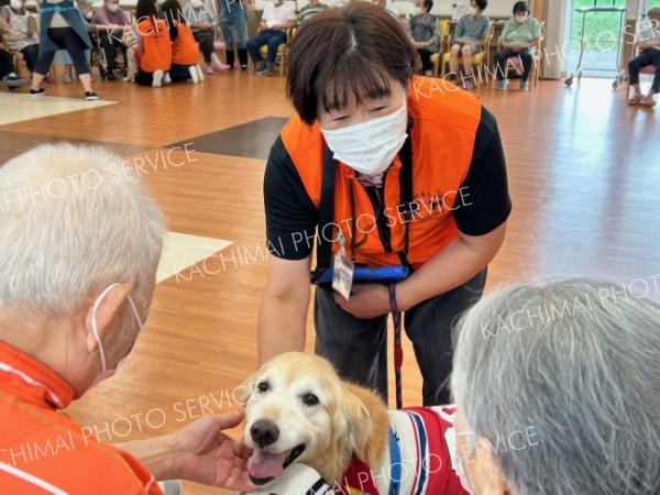 癒やし届けるセラピー犬　十勝に１２頭～勝毎こども新聞・先生が記者