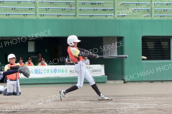 稲田タイガース