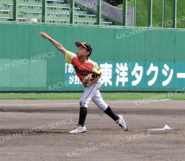 稲田タイガース