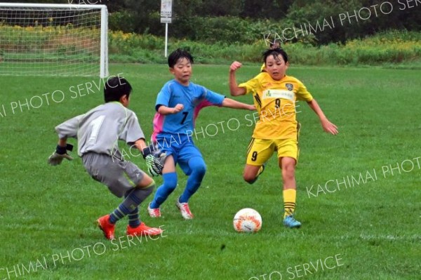 プログレッソ十勝ＦＣ優勝　音更ユニオンに逆転勝ち　サッカーＵ－１２十勝地区リーグ 2