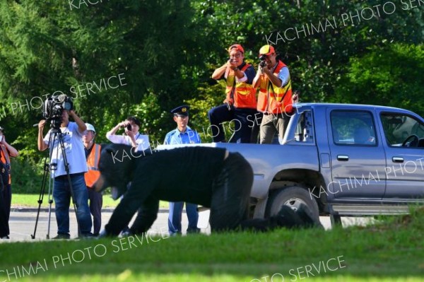 ヒグマ緊急銃猟開始受け更別で訓練、駆除依頼の流れ確認　村長「責任重い」