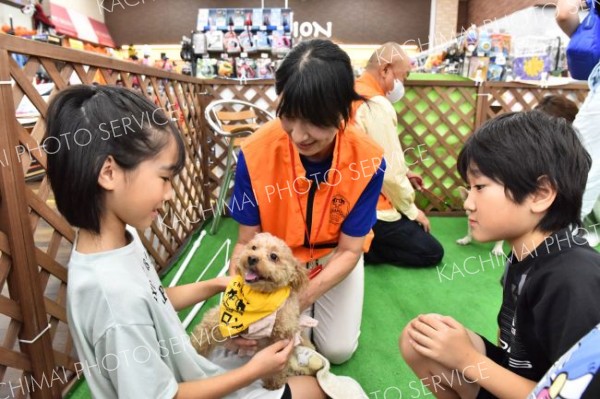 いとおしい犬、なでて癒やされ　セラピードッグ「ふれあい会」