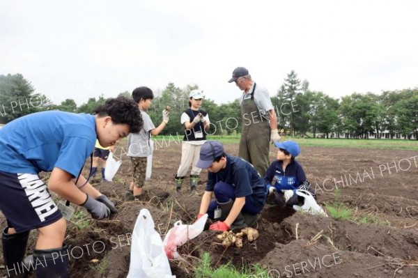 恩田さん（右奥）とジャガイモの収穫に挑戦する児童ら