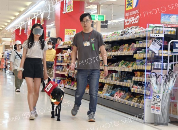 フレスポで盲導犬募金実施、歩行体験も