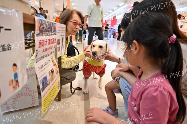 盲導犬と触れ合う家族連れ