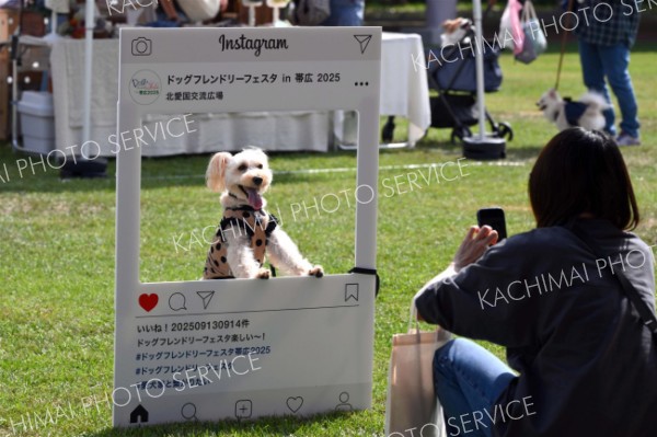 かわいい“わが子”の姿を発信－。会場に設置された撮影スポットで、ＳＮＳや記念写真を撮影する来場者