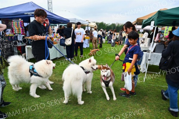 会場のあちらこちらで飼い主や犬同士が交流。初対面のあいさつにワンちゃんも興奮気味！？