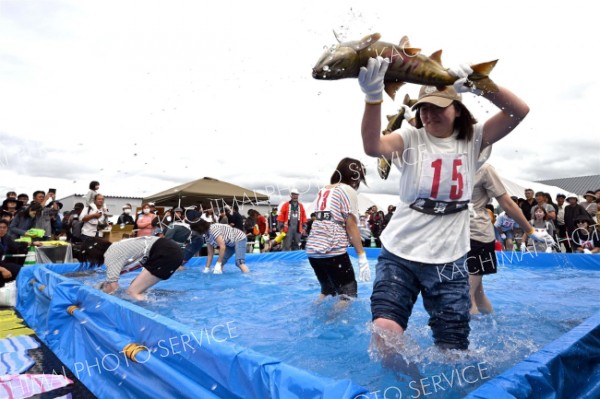 水しぶきを上げて、秋サケのつかみ取りに奮闘する参加者（２０日午前１１時５分ごろ、須貝拓也撮影）