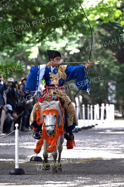 馬上から狙いを定め矢を放つ射手（２３日午前１１時半ごろ、須貝拓也撮影）