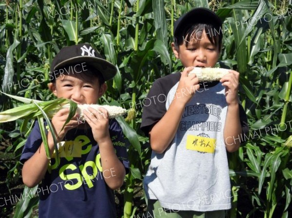 浦幌の野菜で「うまいもの」をゲット　「うらモンＧＯ！」に７０人