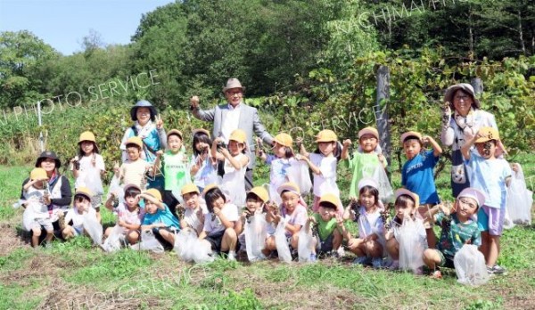 園児がブドウ収穫　池田 2