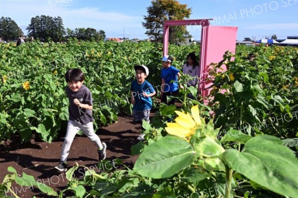 迷路内に置かれたドアを駆け抜けていく児童たち（須貝拓也撮影）