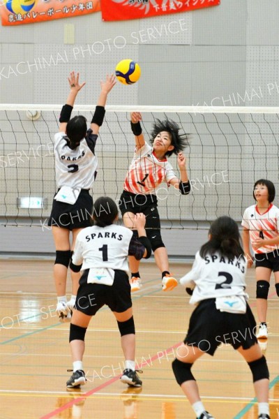 下音更ウィングス女子Ｖ　混合は豊頃ランバーズ　男子は稲田プリンス　イエスタ杯道小学生バレー 4