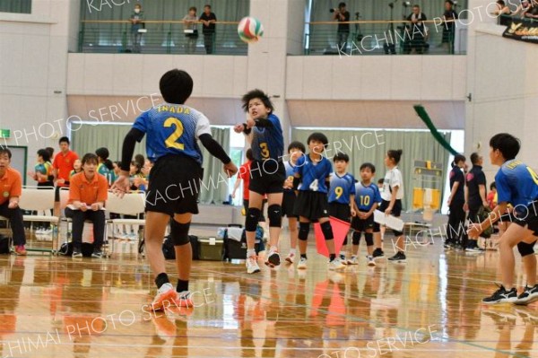 下音更ウィングス女子Ｖ　混合は豊頃ランバーズ　男子は稲田プリンス　イエスタ杯道小学生バレー 5