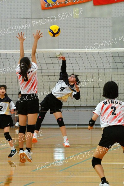 下音更ウィングス女子Ｖ　混合は豊頃ランバーズ　男子は稲田プリンス　イエスタ杯道小学生バレー 8