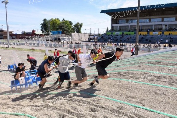 １５０キロのそり引く、力自慢の白熱レース　ばん馬まつり