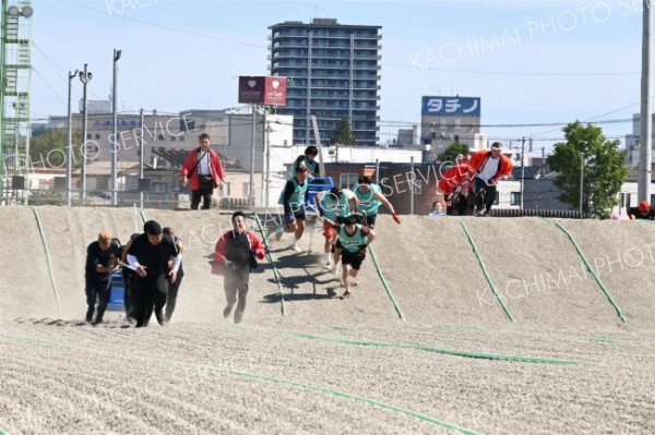 土煙を上げながら奮闘する出場者ら（２８日午前１１時半ごろ）