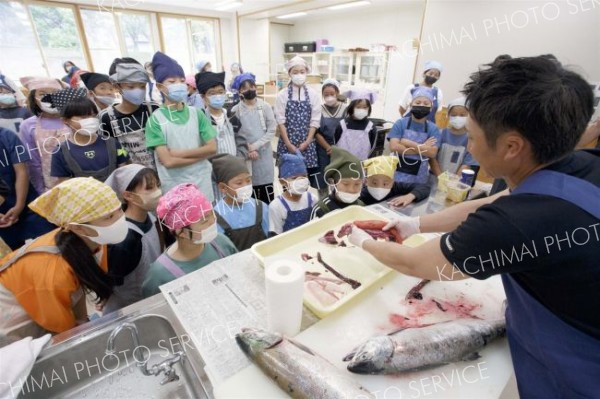 秋サケの三枚おろしにも挑戦　大樹小で食育学習