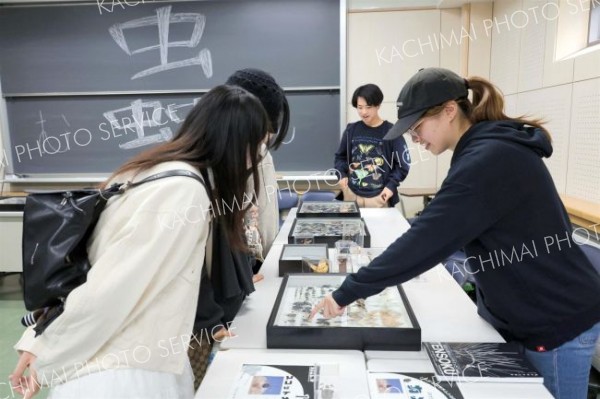 昆虫標本を展示する「蟲（むし）研究会」（助川かおる通信員撮影）