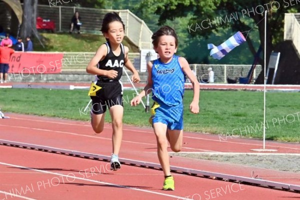 小学３、４年男子８００メートル
