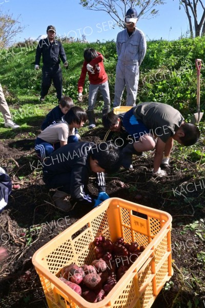本別勇足小で野菜の収穫体験