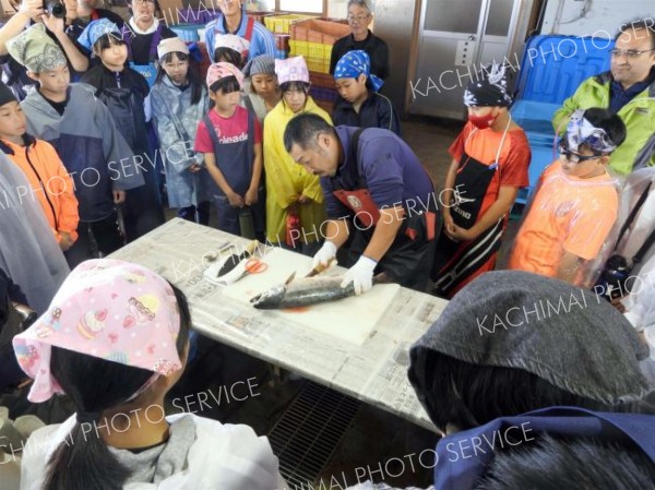 サケのさばき方を実演する