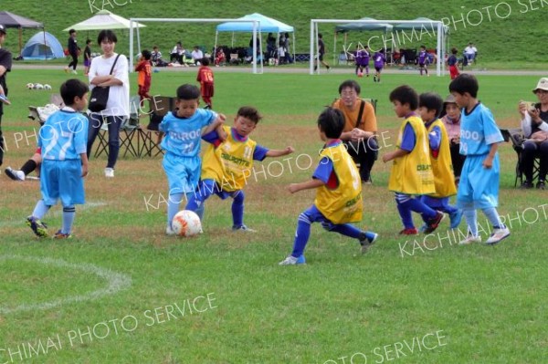 約５６０人の園児と児童　楽しくプレー　サッカーフェス２大会開催 3