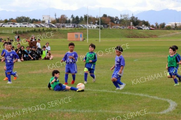約５６０人の園児と児童　楽しくプレー　サッカーフェス２大会開催 6