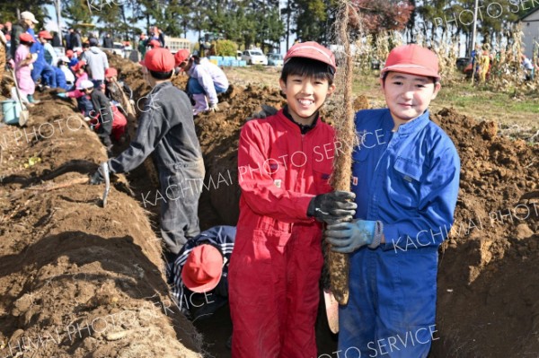 大きなナガイモを折らずに掘り上げて笑顔を見せる児童（２３日午前１０時２０分ごろ、須貝拓也撮影）