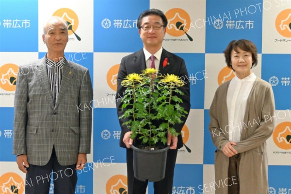 帯広菊花同好会が市に菊を贈呈～こぼれ話