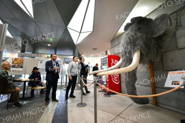 化石で全国のまちつなぐ　ナウマンゾウサミット～写真特集