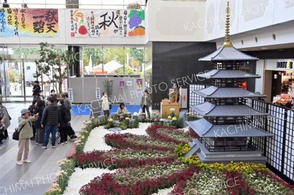 “秋の花”をめでる　さまざまなイベントが開かれた「おびひろ菊まつり」～写真・動画特集